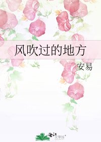 《风吹过的地方》