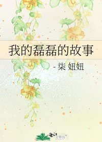 《我的磊磊的故事》