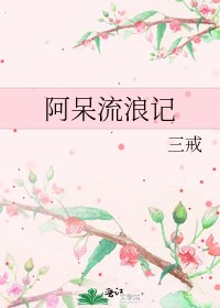 《阿呆流浪记》