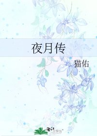 《夜月传》