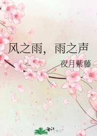 《风之雨,雨之声》