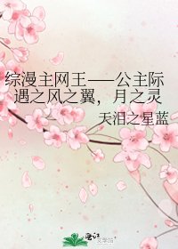 《综漫主网王——公主际遇之风之翼,月之灵》