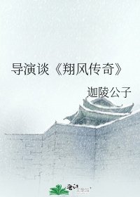 《翔风传奇》