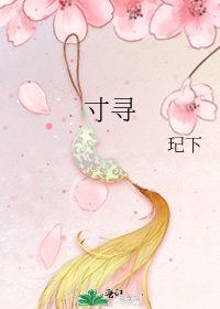 《寸寻》