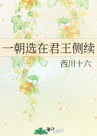 《一朝选在君王侧续》