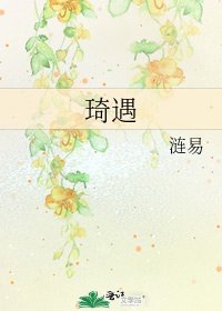 《琦遇》