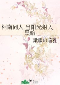《柯南同人 当阳光射入黑暗》