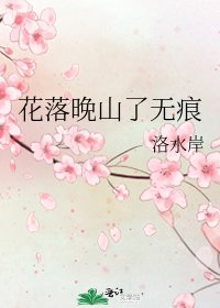 《花落晚山了无痕》