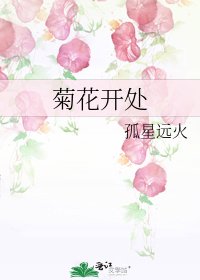 《菊花开处》