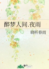 醉梦人间.夜雨