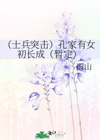 （士兵突击）孔家有女初长成（暂定）