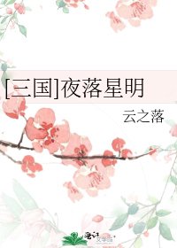 [三国]夜落星明