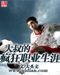 《大叔的疯狂职业生涯》