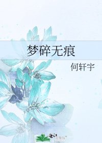《梦碎无痕》