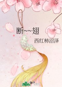《断~~翅》