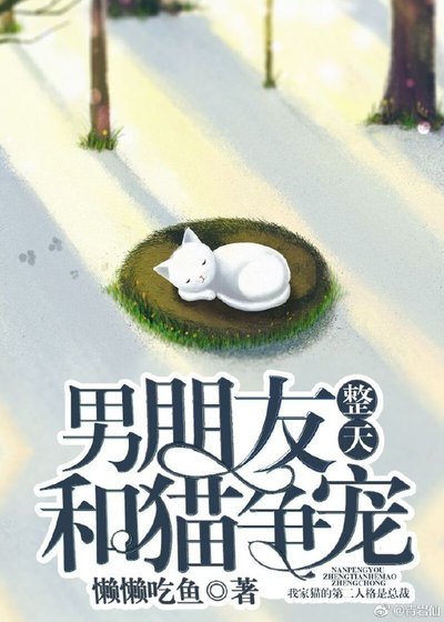 《男朋友整天和猫争宠》