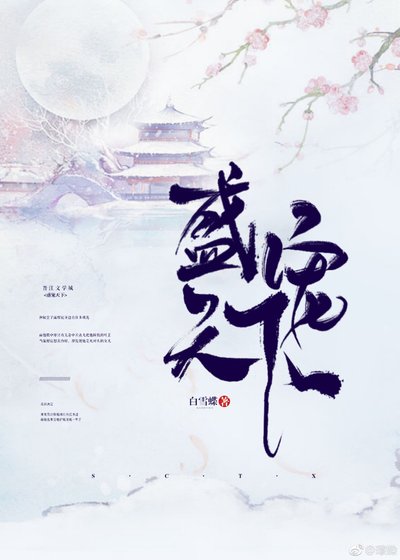 盛宠天下
