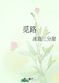 《觅路》