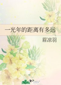 《一光年的距离有多远》