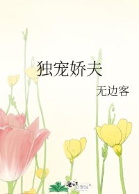 独宠娇夫