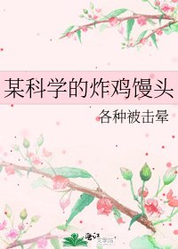 《某科学的炸鸡馒头》