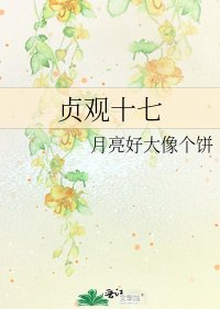 贞观十七