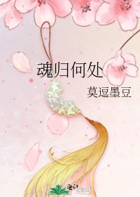 《魂归何处》