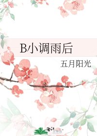 《B小调雨后》
