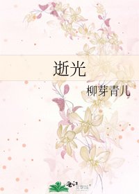 《逝光》