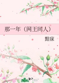 《那一年(网王同人)》