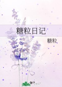 《糖粒日记》