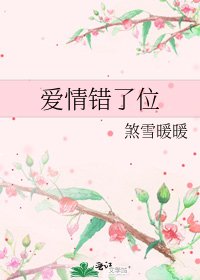 《爱情错了位》
