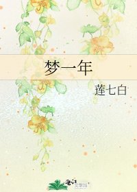 《梦一年》