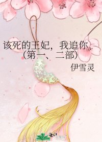 《该死的王妃,我追你 (第一、二部)》