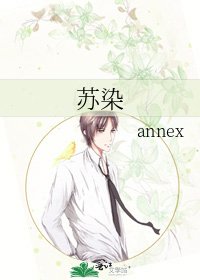 《苏染》