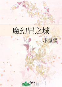 《魔幻罡之城》