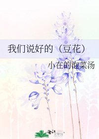《我们说好的(豆花)》