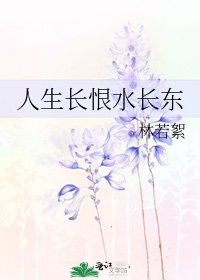 《人生长恨水长东》