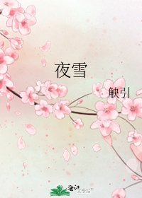 《夜雪》