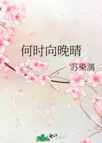 《何时向晚晴》