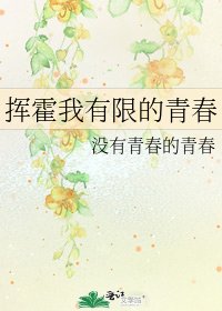 《挥霍我有限的青春》