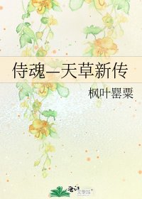 《侍魂—天草新传》