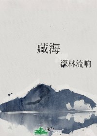 《藏海》