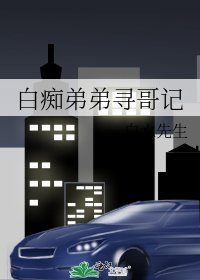 《白痴弟弟寻哥记》