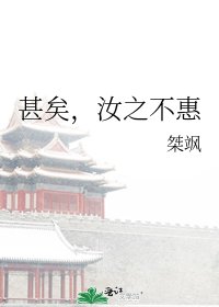 《甚矣,汝之不惠》