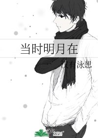 《当时明月在》