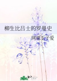 《柳生比吕士的罗曼史》