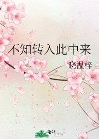 《不知转入此中来》