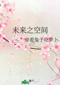 《未来之空间》