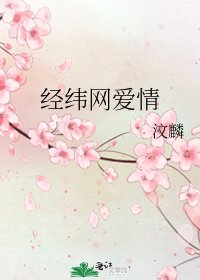 《经纬网爱情》